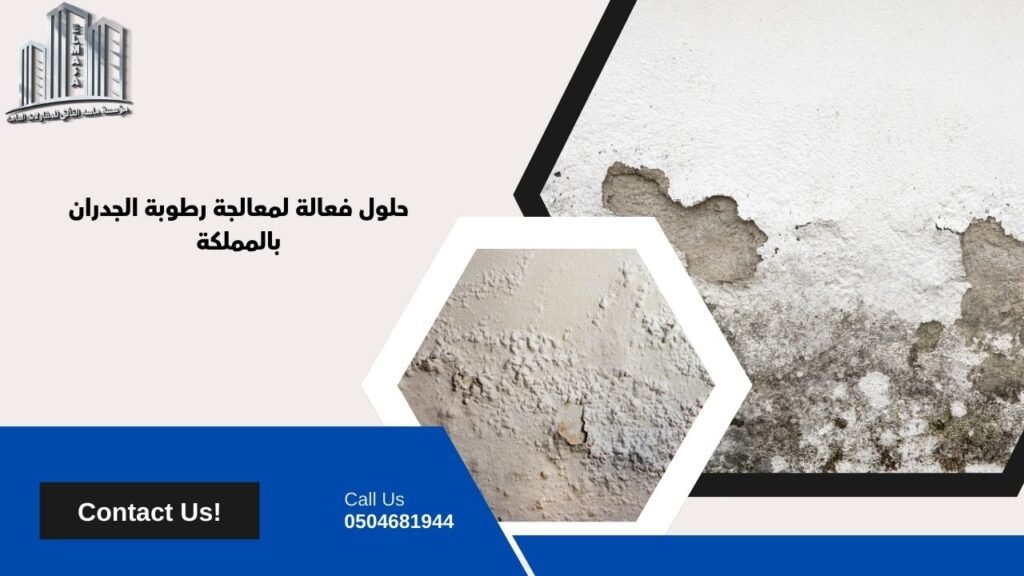شركة معالجة رطوبة الجدران