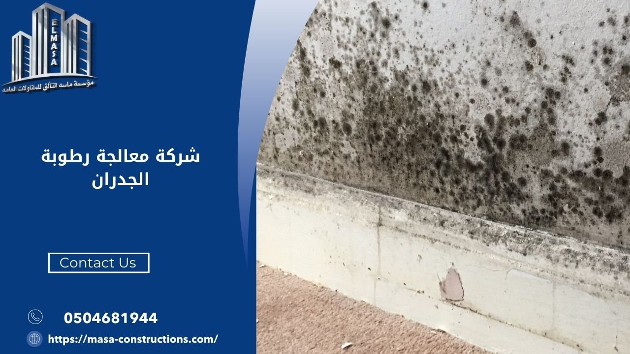 شركة معالجة رطوبة الجدران
